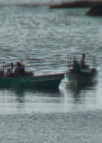 The Lottery of the Sea