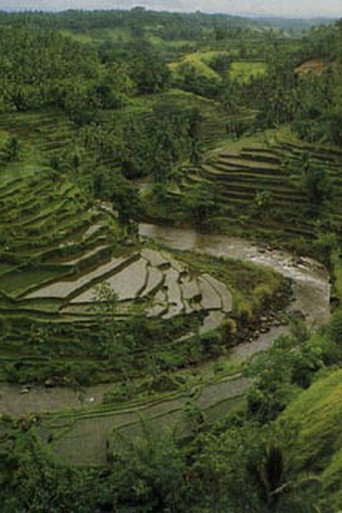 Three Worlds of Bali