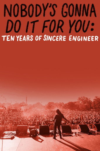 Nobody's Gonna Do it for You: Ten Years of Sincere Engineer