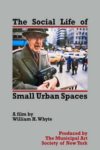 Social Life of Small Urban Spaces