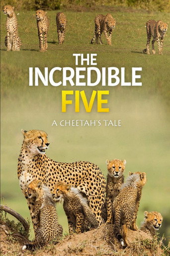 The Incredible Five A Cheetah's Tale
